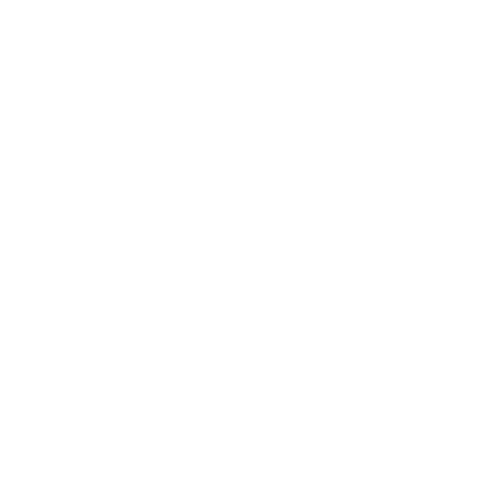 100 Thieves