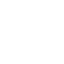 100 Thieves