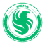 Team Falcons MENA logo