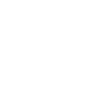 Team Spirit logo