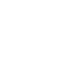Team Spirit logo