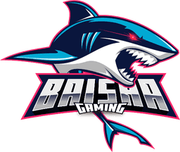 BaiSha Gaming