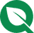 FlyQuest (Punk) logo