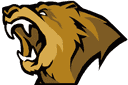 Lynn Vision Gaming logo