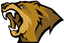 Lynn Vision Gaming logo