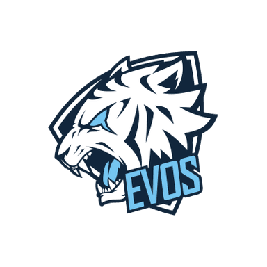 team logo