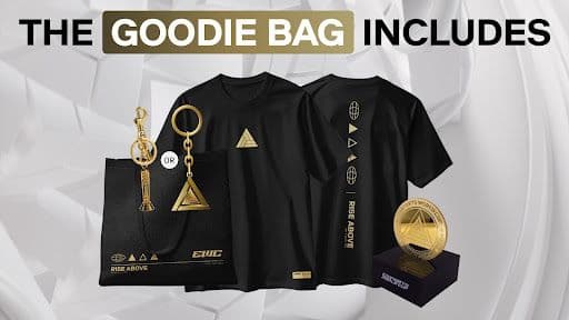 goodei bag.jpg